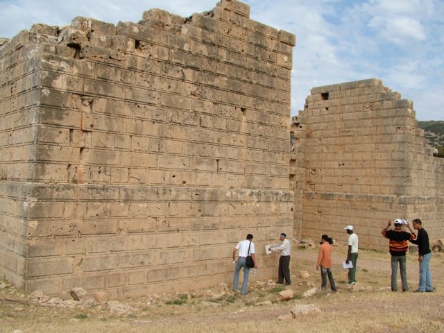 photo43.jpg