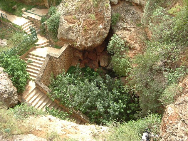 photo.jpg