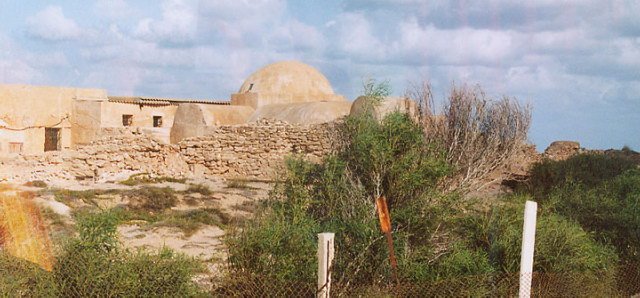 photo48.jpg