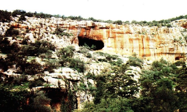 photo10.jpg