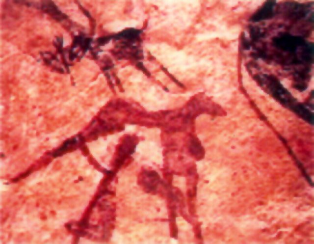 photo2.jpg