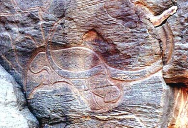 photo57.jpg