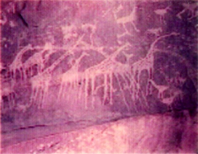 photo7.jpg