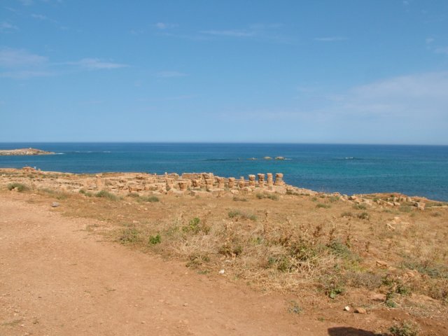 dscf8614.jpg