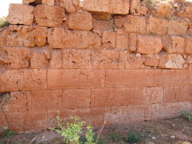 dscf8662.jpg