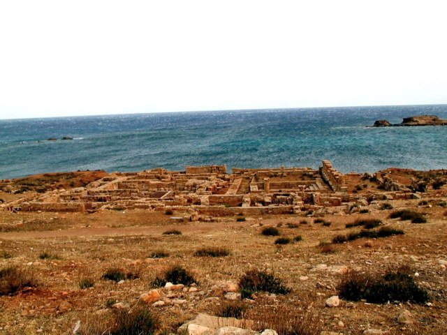 photo48.jpg