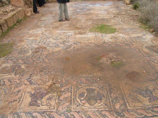 dscf6609.jpg