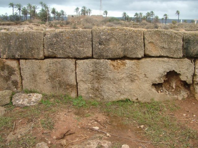 dscf6615.jpg