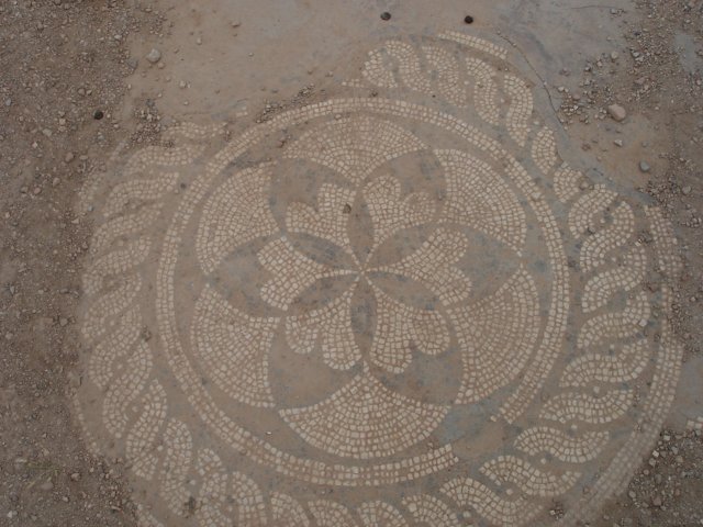 dsc02144.jpg
