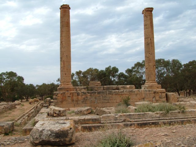 dscf9073.jpg