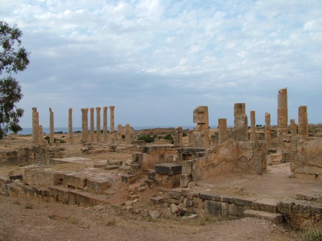 dscf9088.jpg