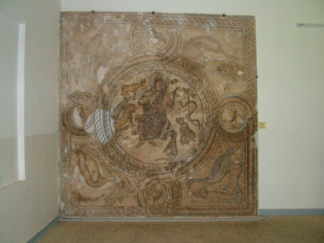 photo13.jpg