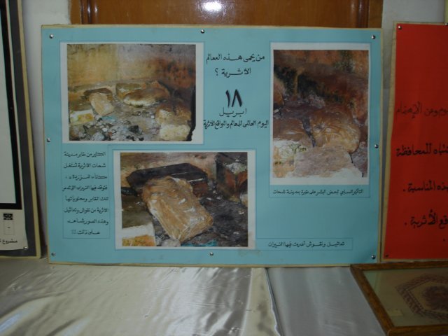 dsc01611.jpg